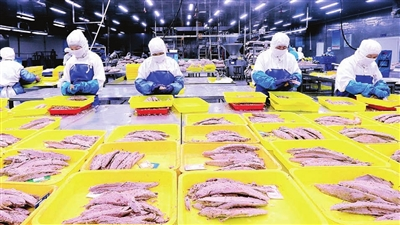 “蓝色粮仓”的深加工