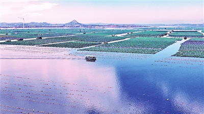 海洋牧场云水谣