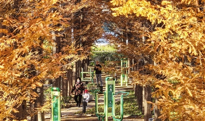 斑斓冬日