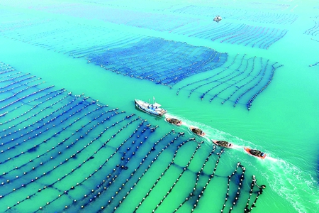 海上生产 陆续展开