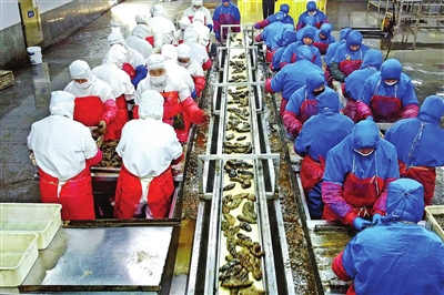 “小海参”串起“大产业”