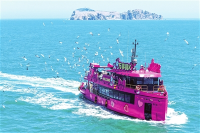 碧海蓝天共鸥歌