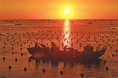海上迎晨光 渔家耕牧忙