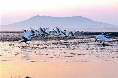 生态与经济共舞 谱写“两山”实践新篇章