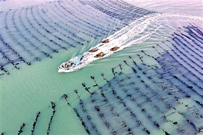 海上“冬耕”忙