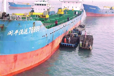 首批鲍鱼南下“越冬”