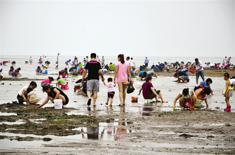崂山街道再掀"赶海热"潮