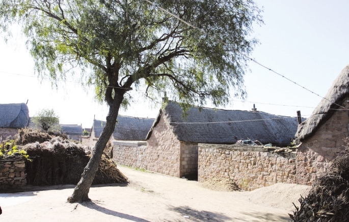 衣食住行变奏曲--荣成40年农村发展之生活方式