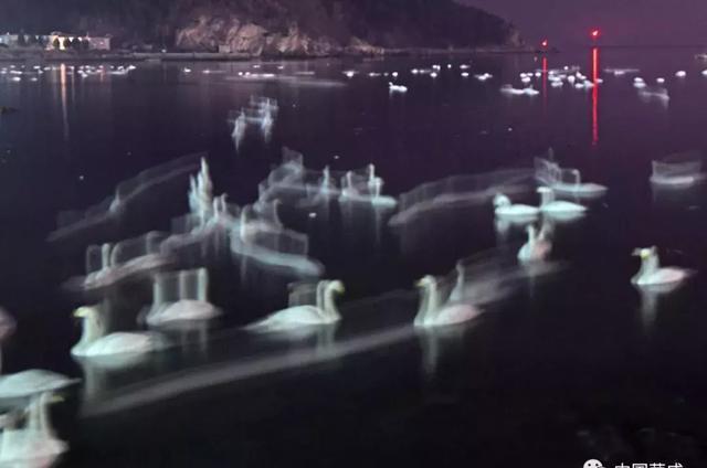 《流光》—李元国