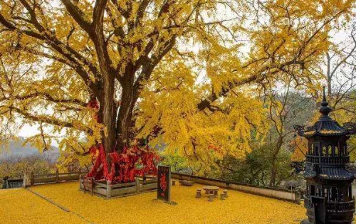 圣水观景区